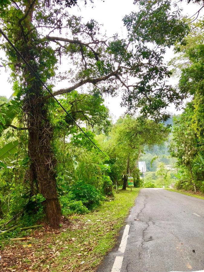 Selesa Resort Homestay Janda Baik 外观 照片